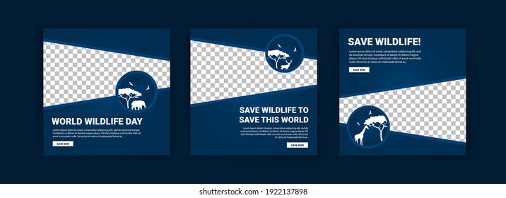 World Wildlife Day. Social media templates for World Wildlife Day. Education to get to know wildlife.