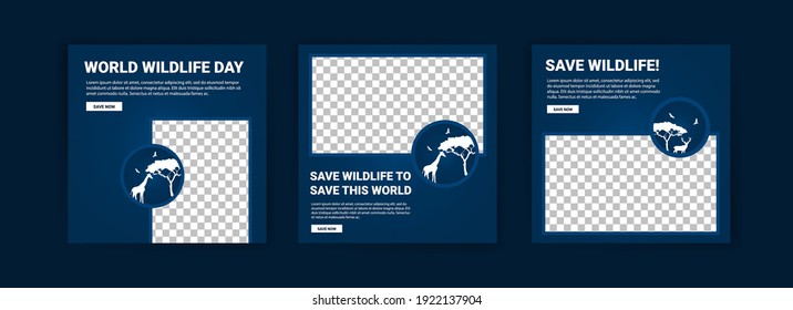 World Wildlife Day. Social media templates for World Wildlife Day. Education to get to know wildlife.