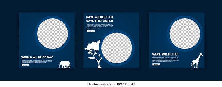 World Wildlife Day. Social media templates for World Wildlife Day. Education to get to know wildlife.