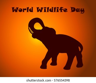 World wildlife day text with elephant silhouette on sunset background . Vector illustration for poster, banner, card, prints 
