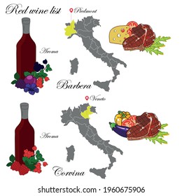 World Wine Regions and Varieties Guide: Sommelier Infographic Barbera and Veneto