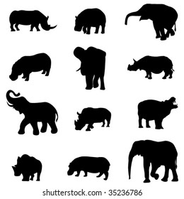 The world's largest three herbivores - elephants, rhino, hippo.