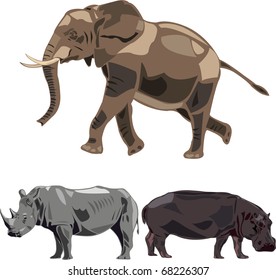 The world's largest three herbivores - elephants, rhino, hippo.