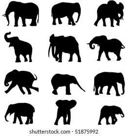 The world's three kinds of elephants:  the African savannah elephant , the African forest elephant and Asian elephant