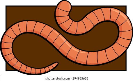 worm