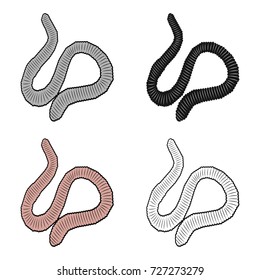 A worm, a boneless animal. Earthworm single icon in cartoon style vector symbol stock isometric illustration web.