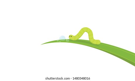 worm cartoon vector. wallpaper. free space for text. copy space. blank. worm on the leaf. water drop.