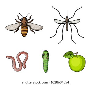 Worm, centipede, wasp, bee, hornet .Insects set collection icons in cartoon style vector symbol stock illustration web.