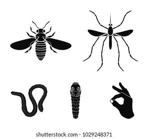 Worm, centipede, wasp, bee, hornet .Insects set collection icons in black style vector symbol stock illustration web.