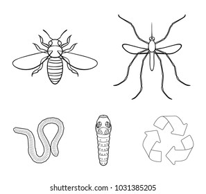 Worm, centipede, wasp, bee, hornet .Insects set collection icons in outline style vector symbol stock illustration web.