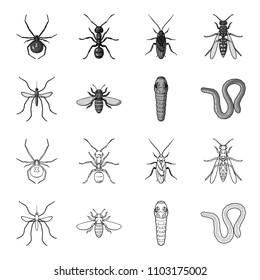 Worm, centipede, wasp, bee, hornet .Insects set collection icons in outline,monochrome style vector symbol stock illustration web.