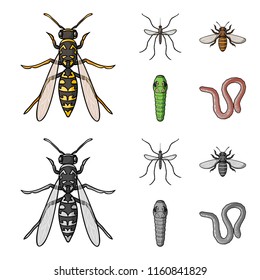 Worm, centipede, wasp, bee, hornet .Insects set collection icons in cartoon,monochrome style vector symbol stock illustration web.