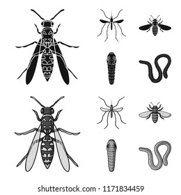 Worm, centipede, wasp, bee, hornet .Insects set collection icons in black,monochrome style vector symbol stock illustration web.