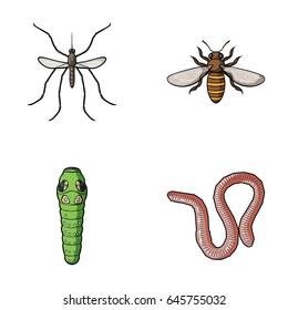 Worm, centipede, wasp, bee, hornet .Insects set collection icons in cartoon style vector symbol stock illustration web.