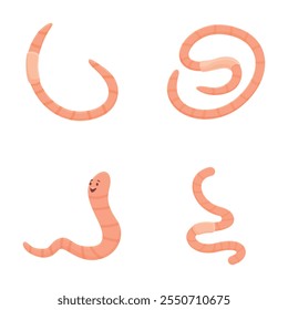 Ícones de caracteres worm definem o vetor de desenhos animados. Divertida minhoca adorável. Inseto, natureza