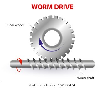 Worm drive. Vector diagram. Protrusion on the gear wheel enter the Worm shaft to form a gearing system. Worm shaft is a Cylindrical part that transfers the rotational movement of one part to another