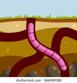 Worm in the ground. Burrows and passages. Nature and the insect. Soil in the section. Flat cartoon illustration