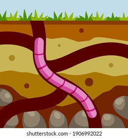 Worm in the ground as it burrows passages. Nature animal with sections of soil. Flat cartoon illustrations