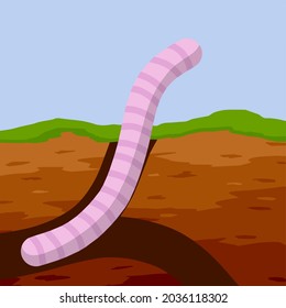 Worm in ground. Spring concept. Burrows and passages. Nature and insect. Soil in section. Flat cartoon illustration