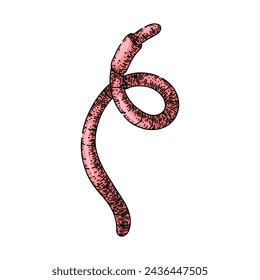 gusano dibujado a mano. tierra rosa, jardín de compost, ilustración de alimentos gusano vector sketch. ilustración de color aislado