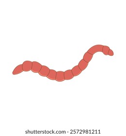 worm icon illustration design template