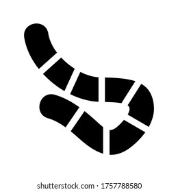 worm  icon or logo isolated sign symbol vector illustration - high quality black style vector icons
