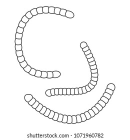 Worm icon. Simple element illustration. Worm symbol design from Insect collection set. Can be used in web and mobile on white background