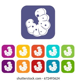 Worm icons set vector illustration in flat style In colors red, blue, green and other