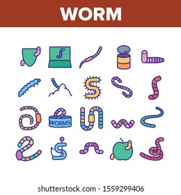 Worm Insect Animal Collection Icons Set Vector Thin Line. Worm In Apple And Bait On Fishing Hook, On Shield And In Container Concept Linear Pictograms. Color Contour Illustrations