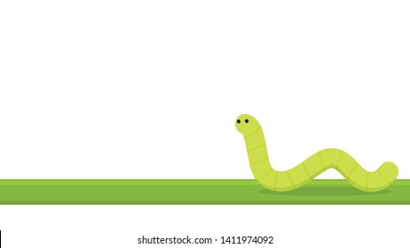 worm on white background. worm insects on the leaf. wallpaper. free space for text. copy space.