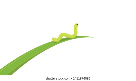 worm on white background. worm insects on the leaf. wallpaper. free space for text. copy space.