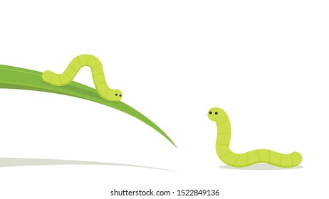 worm on white background. worm insects on the leaf. wallpaper. free space for text. copy space.