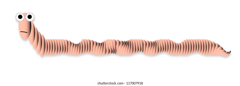 Worm on a white background - vector