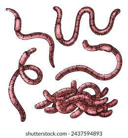 worm set hand drawn. simple vector, earth pink, compost garden worm vector sketch. isolated color illustration