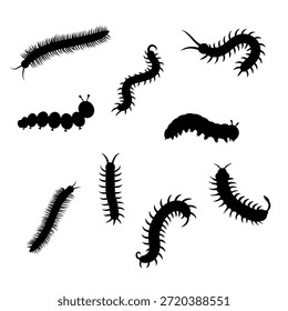 Worm Silhouette Set,Larva Insect Shapes.
Nature Vector Elements for Biology and Agriculture Design.