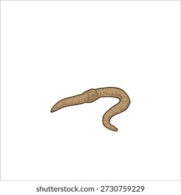 worm sketch drawing artwork handmade illustration