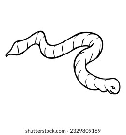 worm sketch illustration,
isolated on white background.Top view