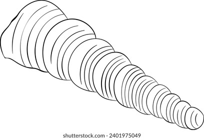 The Worm Snail Shell Black and White Vector Line Art Illustration