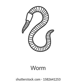 Worm vector icon.Line vector icon isolated on white background worm.