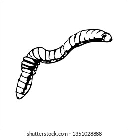 worm vector sketch