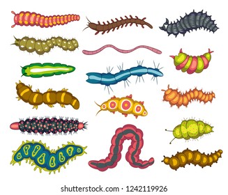 Worms and maggots insects, bright nature set. Garden fauna. Vector flat style cartoon illustration isolated on white background