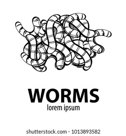 Worms. Outline vector illustration isolated on white background.