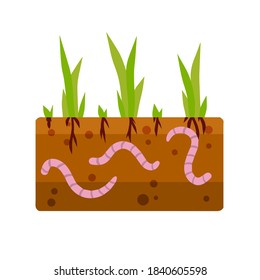 Worms under the ground. Insects in soil. Fishing bait. Green grass. The biosphere and nature. Flat cartoon illustration. Brown earth with small pink animals