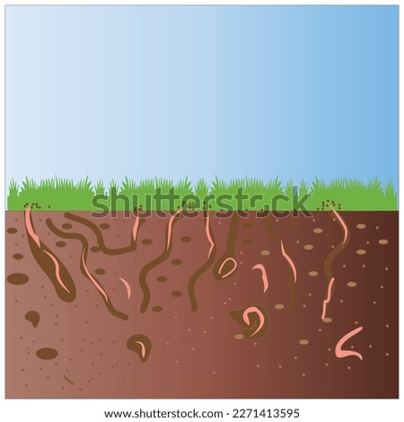 Worms under the ground. Insects in soil. Brown earth with small pink animals.Worm and green plant.