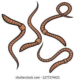 Worms - A vector cartoon illustration of some fishing worms.