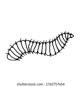Ilustración de un insecto en Worm.Vector. Un boceto al estilo Doodle. Objeto aislado sobre un fondo blanco.Dibujo de tinta de la fauna. Para colorantes y logos infantiles.