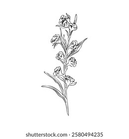 Wormwood blossom plant engraved sketch. Botanical ink vector illustration. Hand drawn sagebrush branch with flowers and leaves. Blooming Artemisia absinthium medicinal plant, ayurveda essential herb