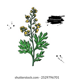 Dibujo de ajenjo. Vector planta dibujada a mano. Boceto de planta medicinal de Antiguas. Rama con flores y hojas