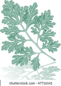 Wormwood Leaf