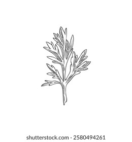 Wormwood leaf engraved sketch. Hand drawn sagebrush wild flower herbarium. Artemisia absinthium ayurveda essential wild herb. Botanical ink vector illustration. Cosmetics and medicinal plant foliage